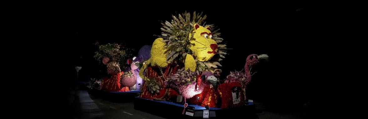 Bloemencorso Bollenstreek