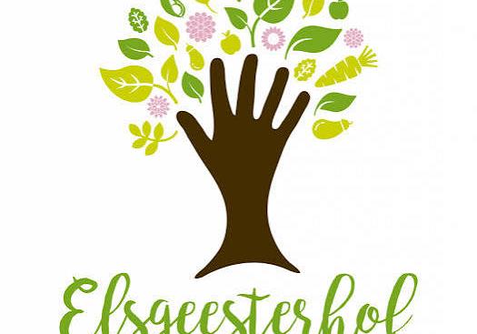 Bloemencorso Bollenstreek