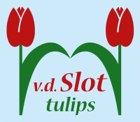 Van de Slot Tulips