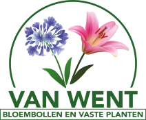 Wed. G.H. van Went en Zonen