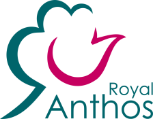 Royal Anthos