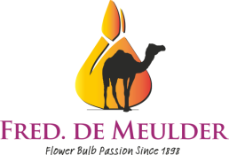 Fred de Meulder Export