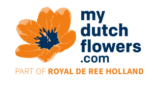 Royal de Ree Holland BV